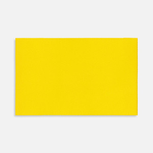 Лейбл тканевый Epsilon, XL, желтый