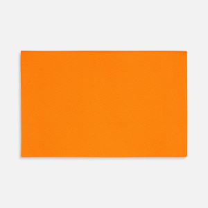 Лейбл тканевый Epsilon, XL, оранжевый неон