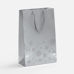 Пакет Wintry, серебристый